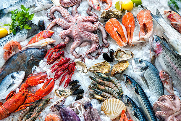 Frozen Seafood 猪肉类