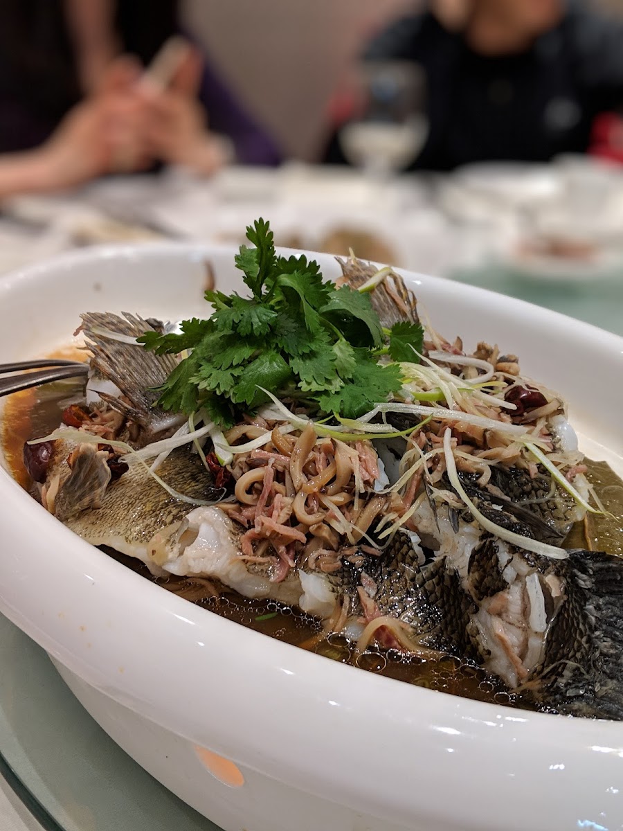 House Special 午市特色